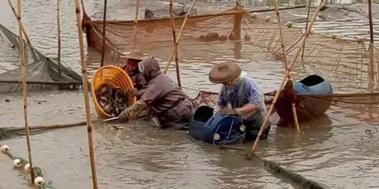 水產(chǎn)養(yǎng)殖水質(zhì)檢測項目及標準