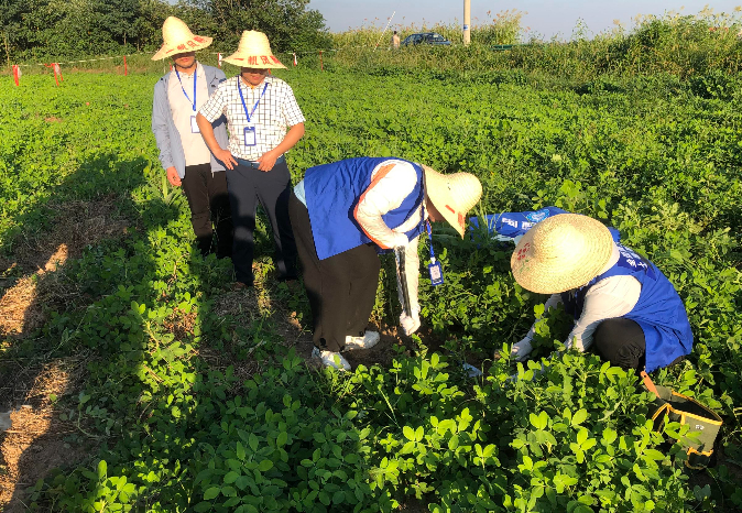 國科檢測在長豐縣全面鋪開第三次全國土壤普查外業(yè)調(diào)查采樣工作