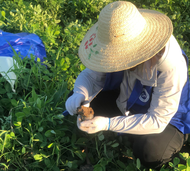 國科檢測在長豐縣全面鋪開第三次全國土壤普查外業(yè)調(diào)查采樣工作